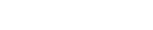 Tina Turner Official logo